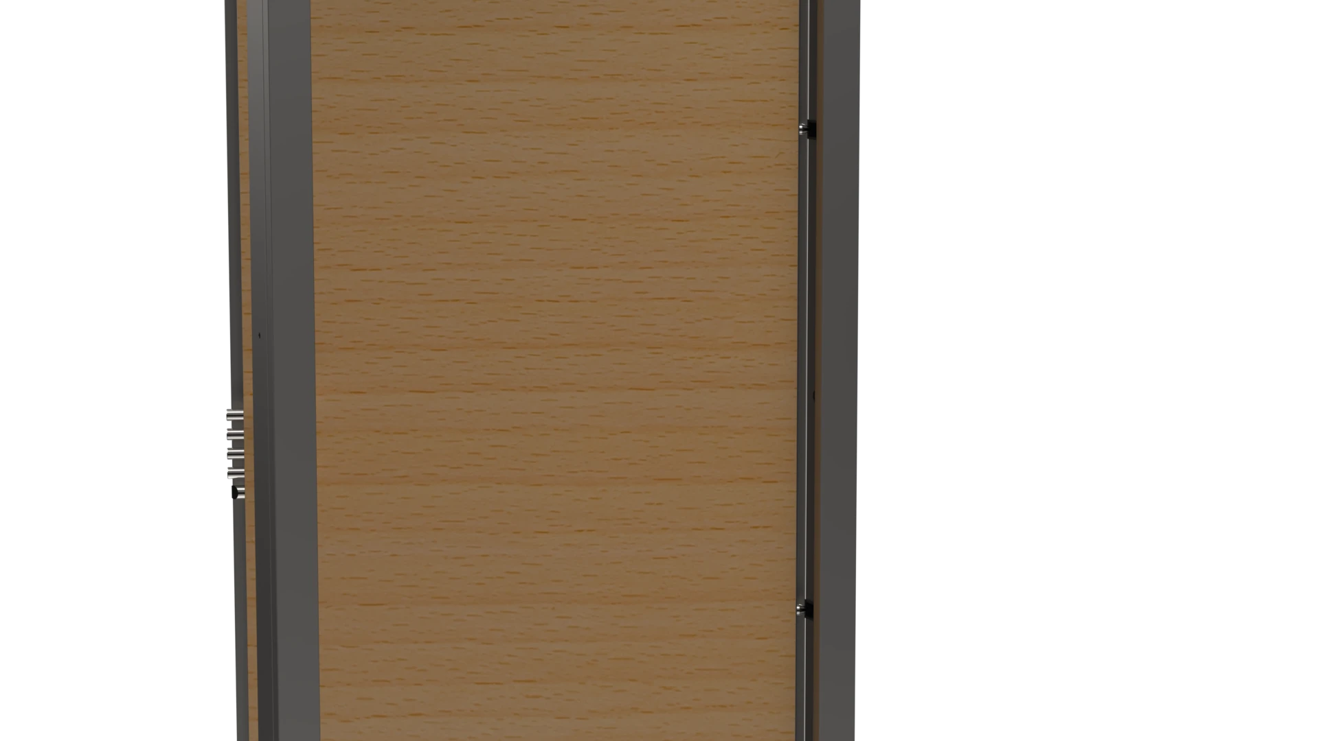 Security Door Chassis MS9 Plus - External view with cladding